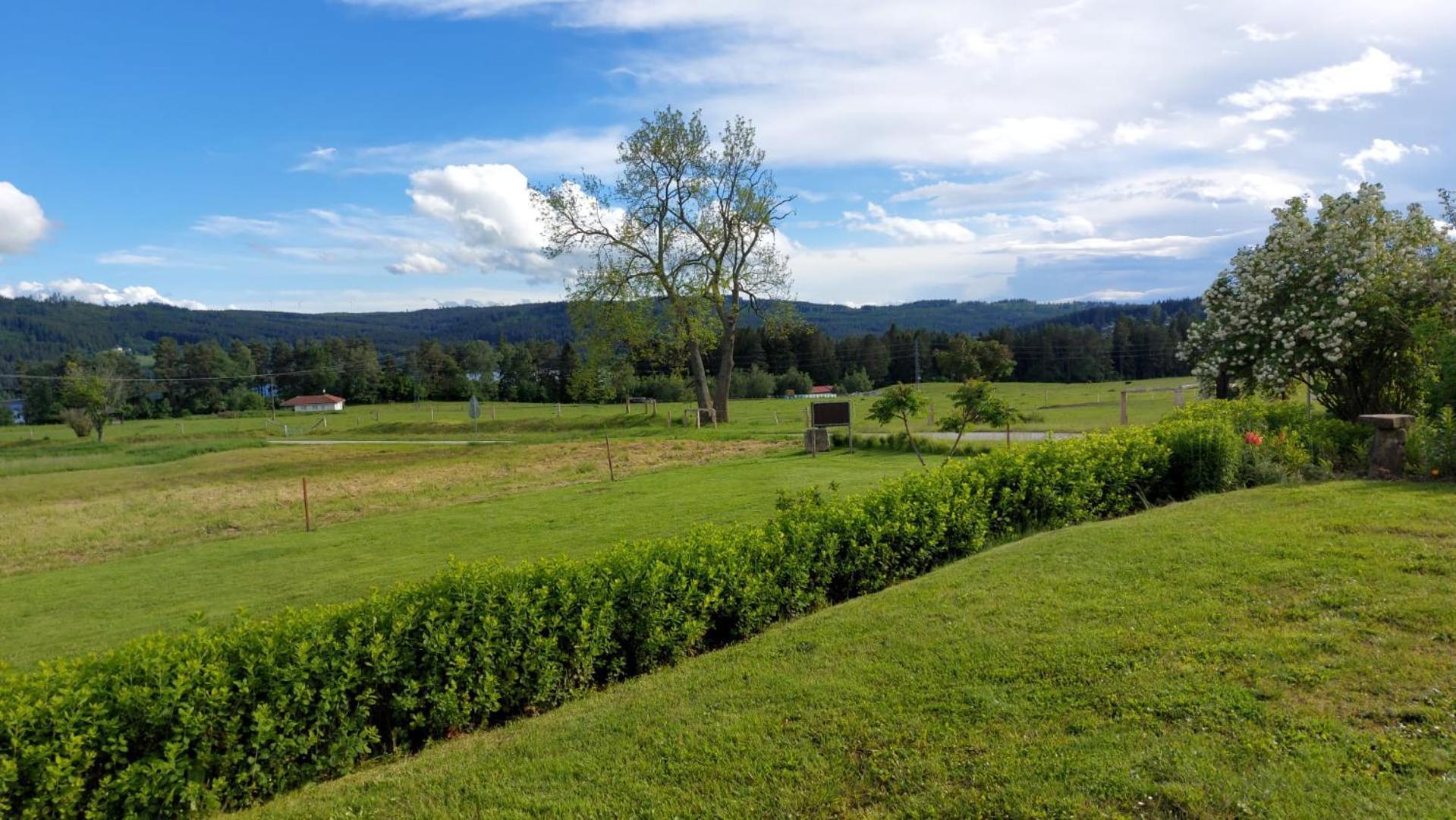 Penzion Slupecna Lipno nad Vltavou Dış mekan fotoğraf