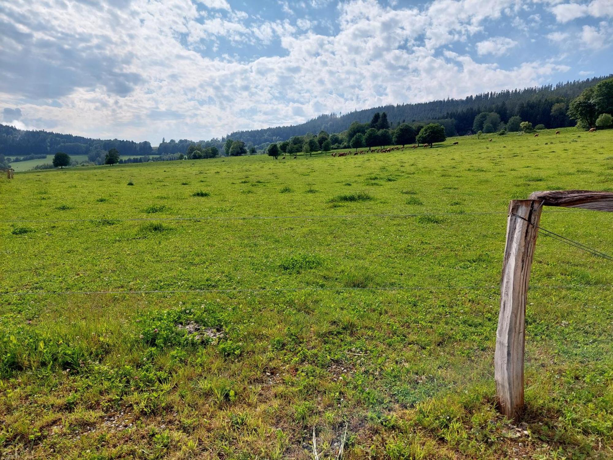 Penzion Slupecna Lipno nad Vltavou Dış mekan fotoğraf