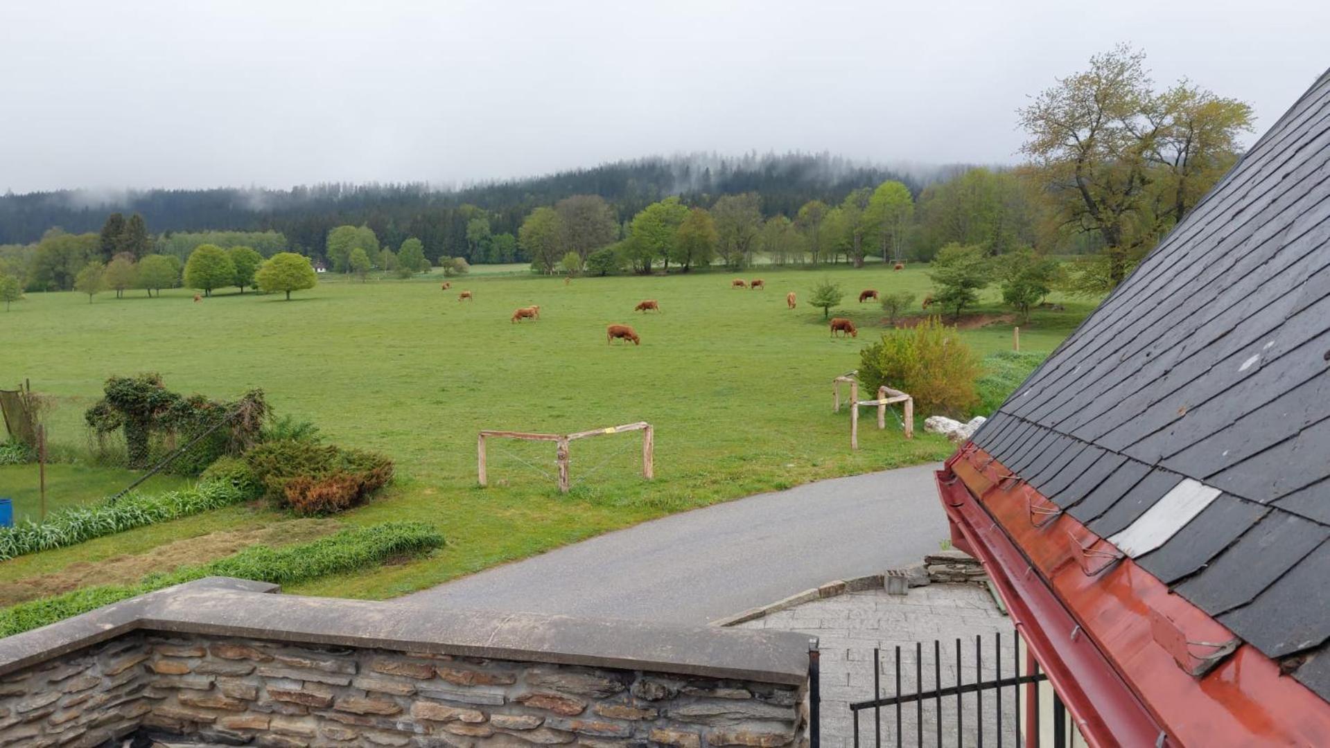 Penzion Slupecna Lipno nad Vltavou Dış mekan fotoğraf